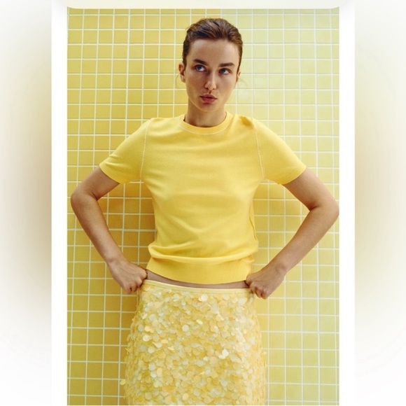 Zara Dresses & Skirts - Zara ZW Collection Sequin Skirt